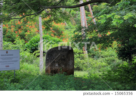 Kingdom of Tonga 15065356