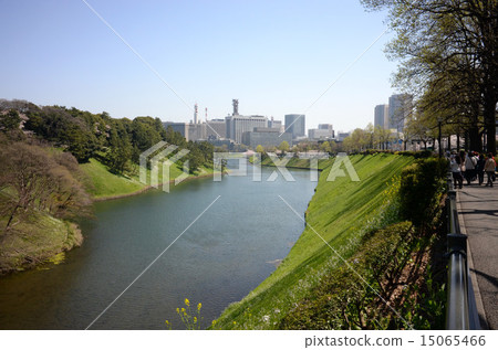 Sakurada護城河和皇宮的Miyakezaka新鮮的綠色是美麗的 15065466