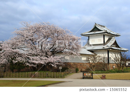 金澤城公園 15065552