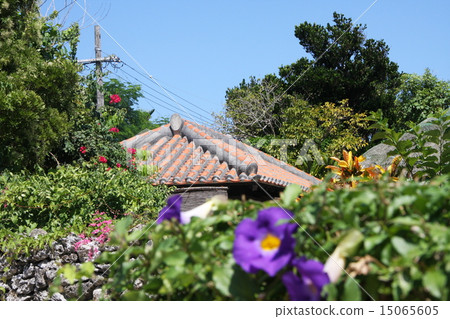 Taketomi island Ryukyus old private house 15065605