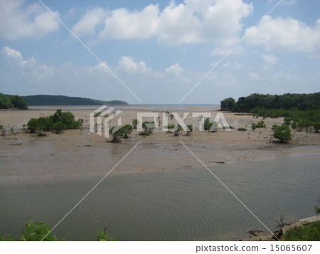 Naguro Ampal 15065607