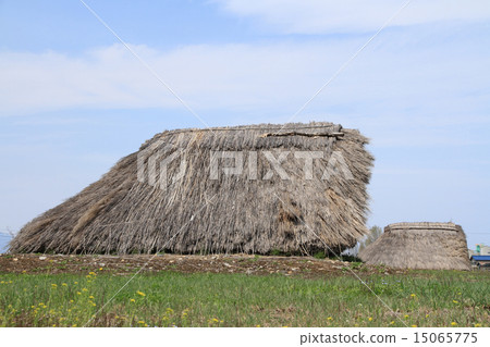 平和遺址公園/平安時代的村莊 平和遺址公園/平安時代的村莊 15065775