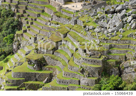 Peru Machu Picchu Andenes Peru Machu Picchu Andenes 15066439