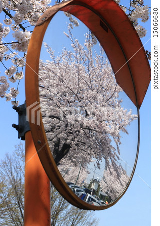 櫻桃曲線鏡 15066680