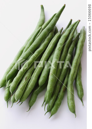 綠豆 綠豆 15066698