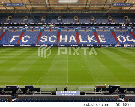 Bundesliga: Full view of Schalke's pitch (front) 15066855
