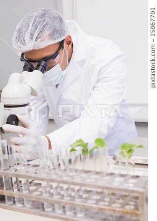 Focus scientist using microscope Focus scientist using microscope 15067701