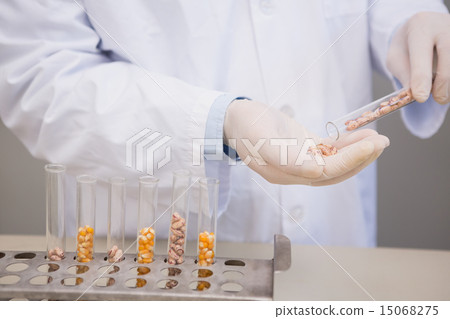 Scientist holding kernel in tube Scientist holding kernel in tube 15068275