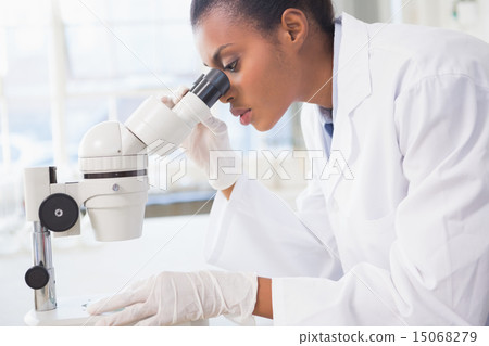 Scientist looking in microscope Scientist looking in microscope 15068279