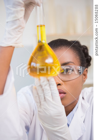 Scientist examining petri dish with orange fluid inside Scientist examining petri dish with orange fluid inside 15068288