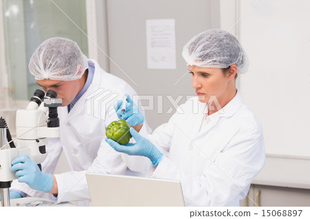 Scientists examining green pepper Scientists examining green pepper 15068897