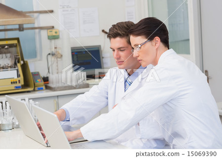 Scientists working attentively with laptop Scientists working attentively with laptop 15069390