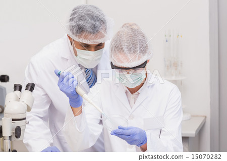 Scientist doing experiments in petri dish 15070282