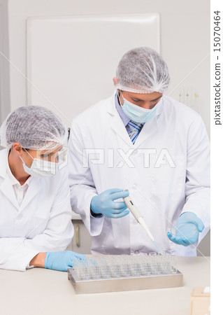 Scientists working with petri dish Scientists working with petri dish 15070464