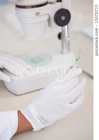 Scientist holding sample 15070715