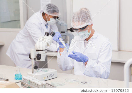 Scientist examining petri dish 15070833