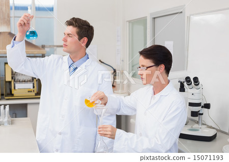 Scientists working attentively together with beakers Scientists working attentively together with beakers 15071193
