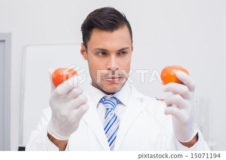 Perplex scientist holding two tomatoes 15071194