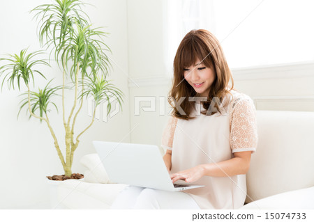 一個女人使用電腦 一個女人使用電腦 15074733