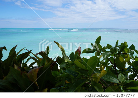 Horizon Horizon 15077777