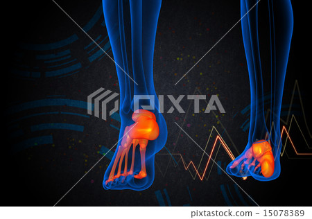 3d render medical illustration of the foot bone 15078389