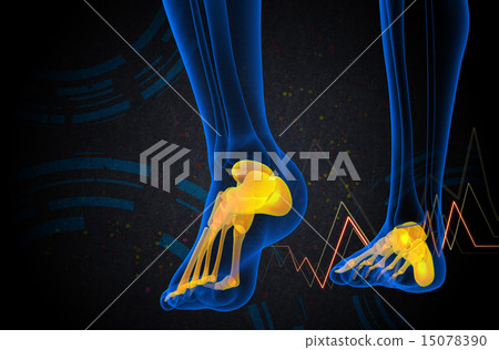 3d render medical illustration of the foot bone 15078390