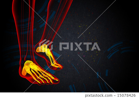 3d render medical illustration of the foot bone 15078426