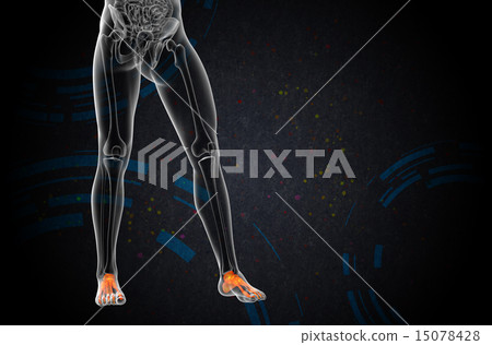 3d render medical illustration of the foot bone 15078428
