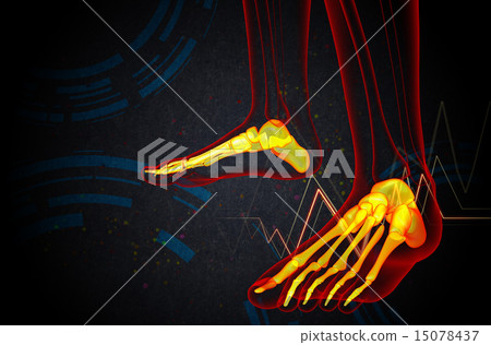 3d render medical illustration of the foot bone 15078437