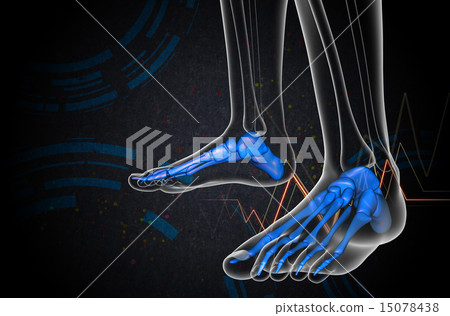 3d render medical illustration of the foot bone 15078438