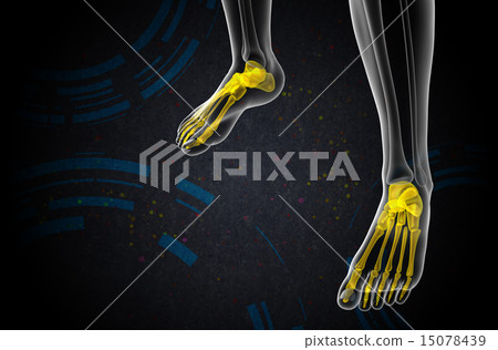 3d render medical illustration of the foot bone 15078439