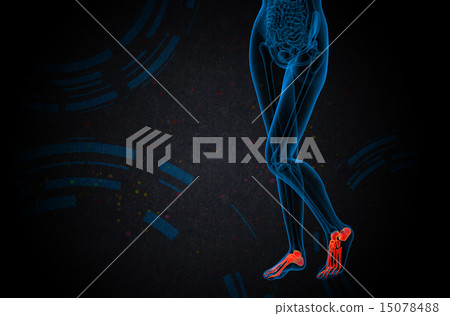 3d render medical illustration of the foot bone 15078488
