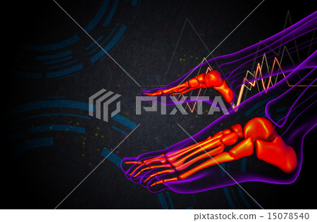 3d render medical illustration of the foot bone 15078540