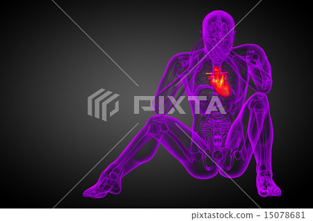 3d rendered medical illustration of a human heart - Stock Illustration ...