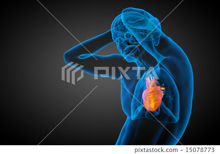 3d rendered medical illustration of a human heart - Stock Illustration ...
