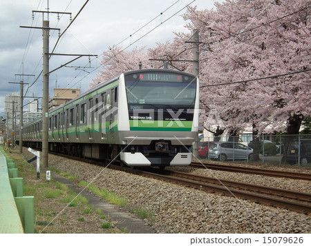 在橋本站附近的橫濱線E233線 15079626