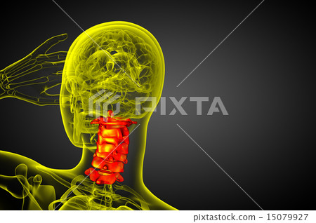 3d render illustration of the cervical spine 15079927