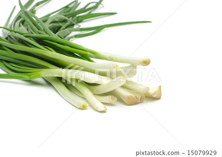 Eight ripe, beautiful spring onions 15079929