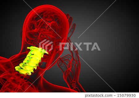 3d render illustration of the cervical spine 15079930