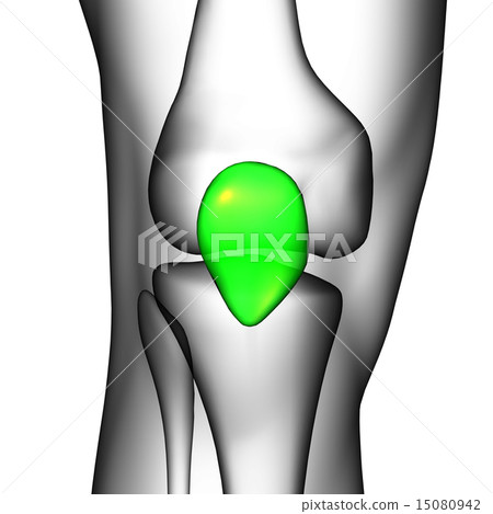 3d render medical illustration of the patella bone 15080942