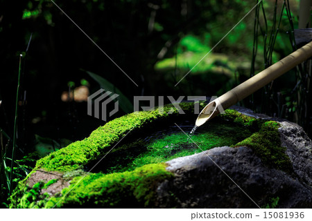 Tsukuba · Shishigushi 15081936