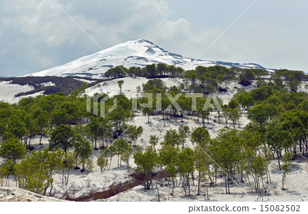 Snow and fresh green Chokaiyama 15082502