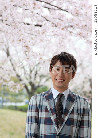 One male (Vizcassi business casual job Sakura Spring New life company employee New semester Yoshino cherry blossom) 15082513