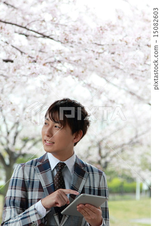 One male (Vizcassi business casual job Sakura Spring New life company employee New semester Yoshino cherry blossom) One male (Vizcassi business casual job Sakura Spring New life company employee New semester Yoshino cherry blossom) 15082603