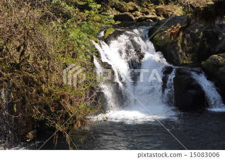 Kikuchi Valley (Kumamoto Prefecture) 15083006