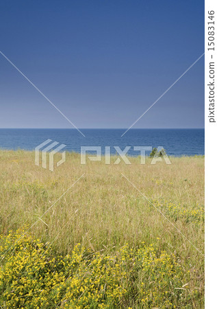 Beautiful  Bulgarian resorts landscapes 15083146