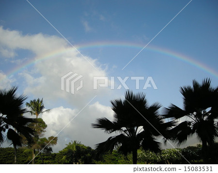 Rainbow  15083531