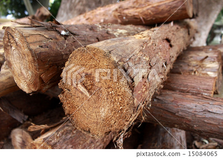 一個日誌 15084065