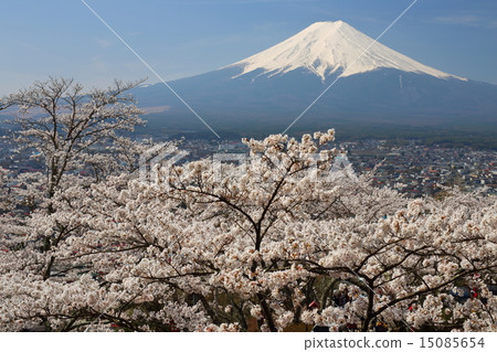 我從Shin-ichi淺間神社看富士山 15085654