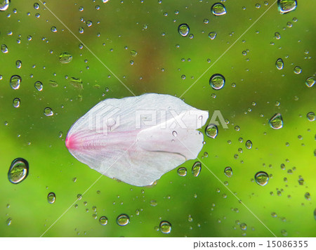 一滴 一滴 15086355